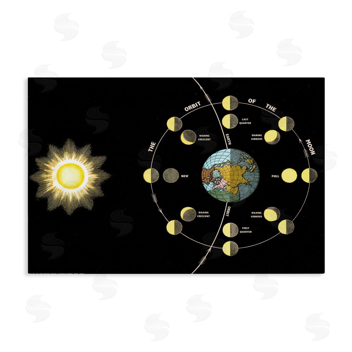Moon's Orbit & Phases Canvas Wall Art, Home Decor by Phillipa Katz