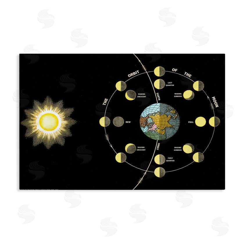 Phillipa Katz | Moon's Orbit & Phases