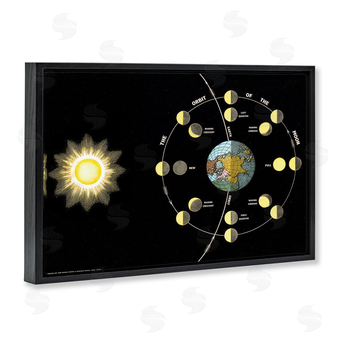 Moon's Orbit & Phases Black Floating Frame Canvas Wall Art, Home Decor by Phillipa Katz