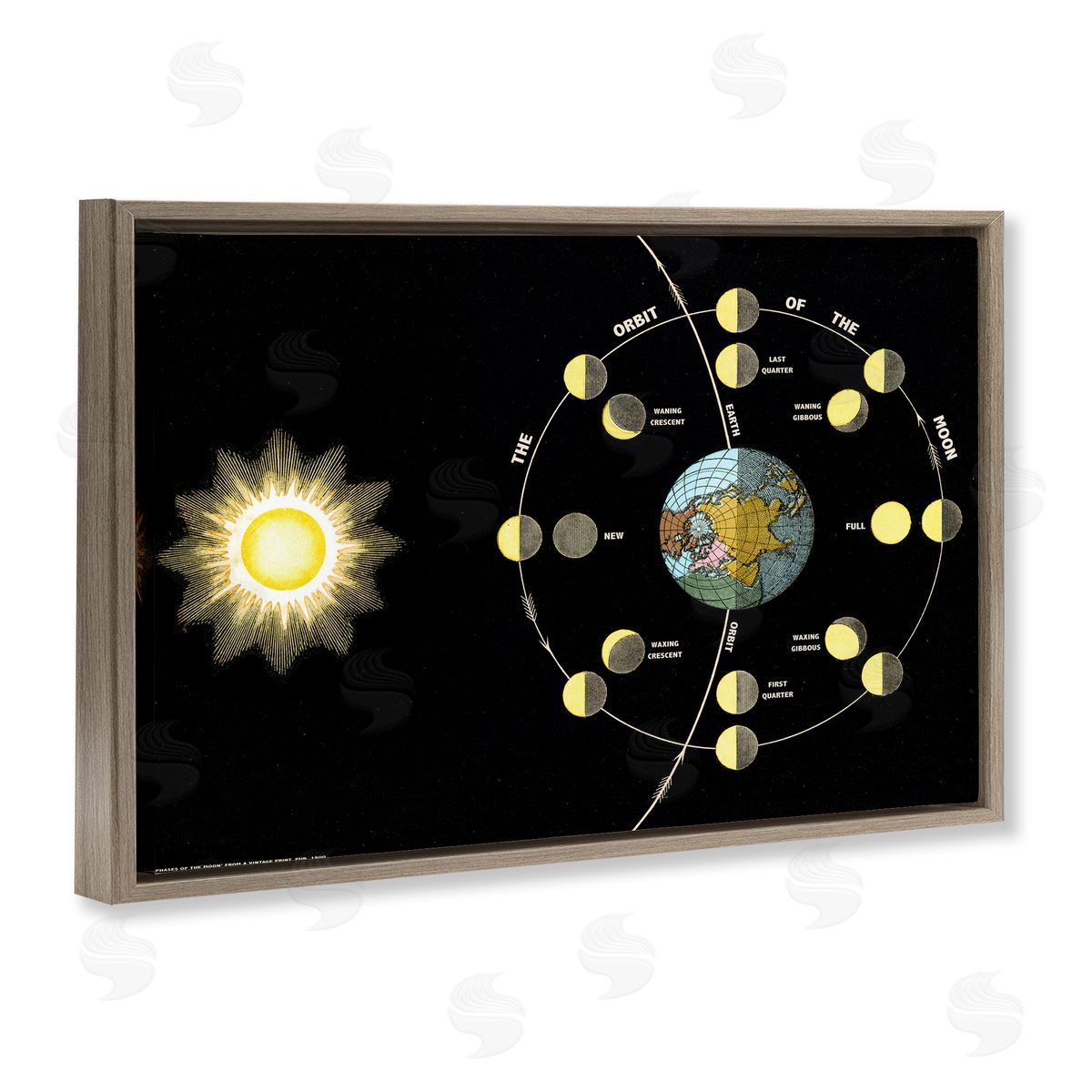 Moon's Orbit & Phases Brown Floating Frame Canvas Wall Art, Home Decor by Phillipa Katz