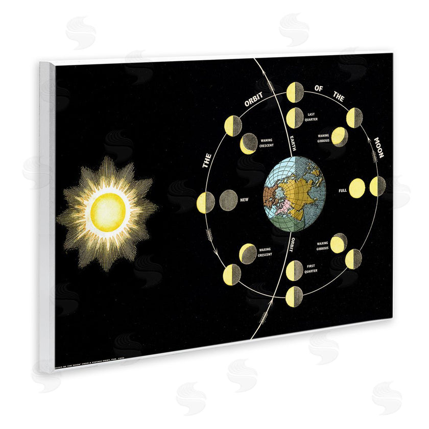 Phillipa Katz | Moon's Orbit & Phases