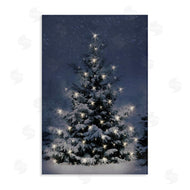 Lori Deiter | Snowy Nighttime Christmas Tree