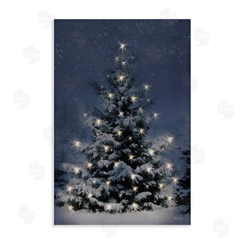 Lori Deiter | Snowy Nighttime Christmas Tree