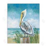 Diane Kater | Pelican Perched near Shore