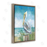 Diane Kater | Pelican Perched near Shore