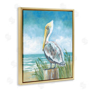 Diane Kater | Pelican Perched near Shore
