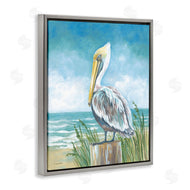 Diane Kater | Pelican Perched near Shore