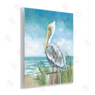 Diane Kater | Pelican Perched near Shore