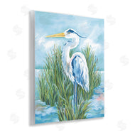 Diane Kater | Coastal Heron Bird