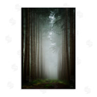 Martin Podt | Moonlight Through Dark Forest