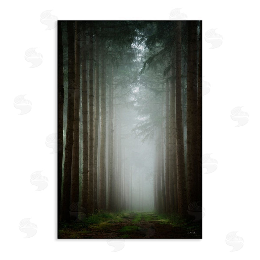 Martin Podt | Moonlight Through Dark Forest