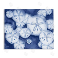Paul Brent | Watercolor Style Sand Dollars