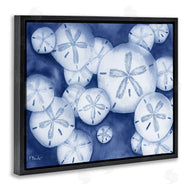 Paul Brent | Watercolor Style Sand Dollars
