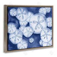 Paul Brent | Watercolor Style Sand Dollars