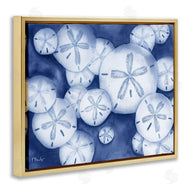 Paul Brent | Watercolor Style Sand Dollars