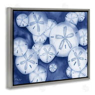 Paul Brent | Watercolor Style Sand Dollars