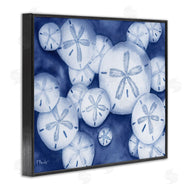 Paul Brent | Watercolor Style Sand Dollars