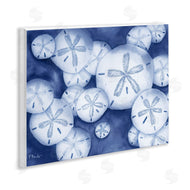 Paul Brent | Watercolor Style Sand Dollars