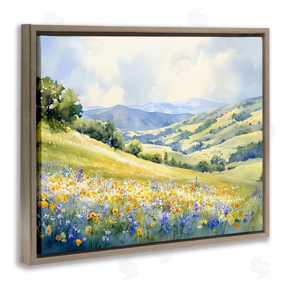 Spring Meadow with Distant Mountain Brown Floating Frame Canvas Wall Art, Home Decor by Franklyn Gregory