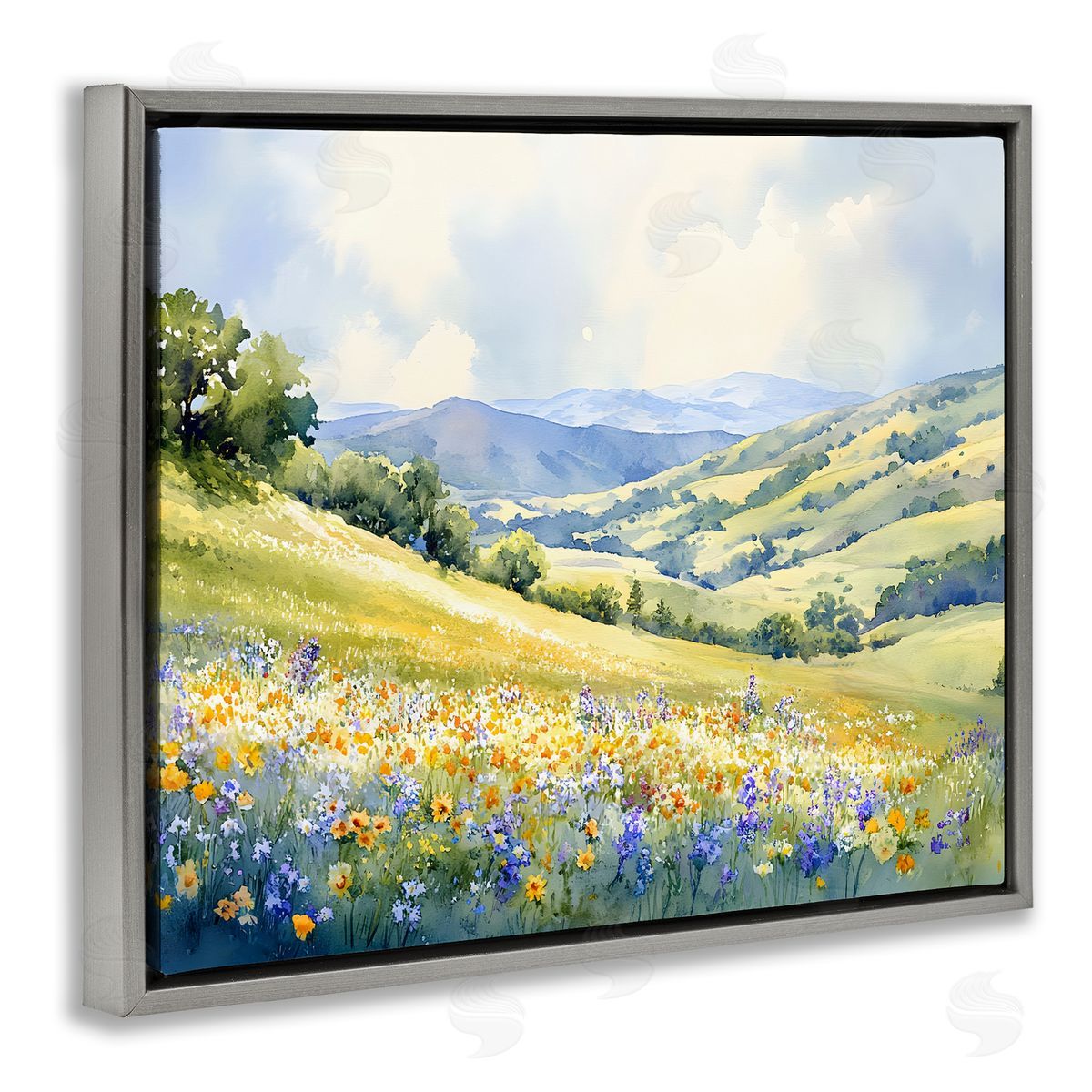 Spring Meadow with Distant Mountain Grey Floating Frame Canvas Wall Art, Home Decor by Franklyn Gregory