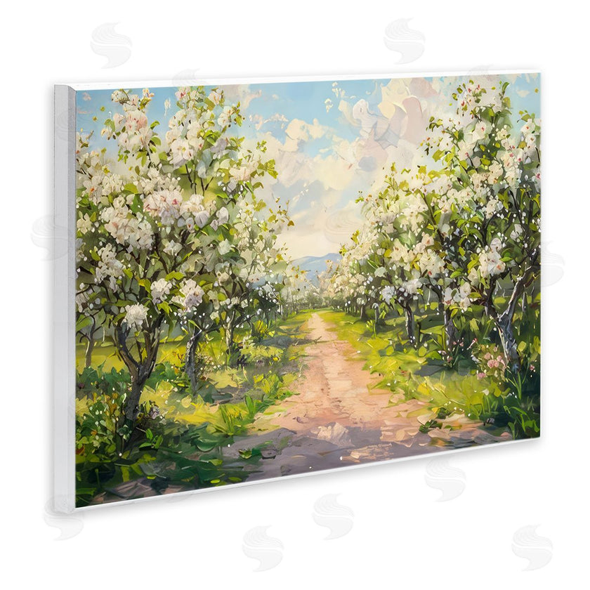LSR Creative Studio | Path Through Flowering Trees
