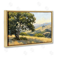 LSR Creative Studio | On The Hilltop Scenery