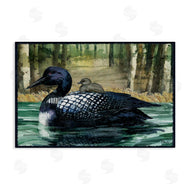 Paul Brent | Loon with Baby on Lake