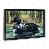 Paul Brent | Loon with Baby on Lake