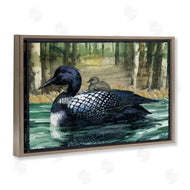 Paul Brent | Loon with Baby on Lake