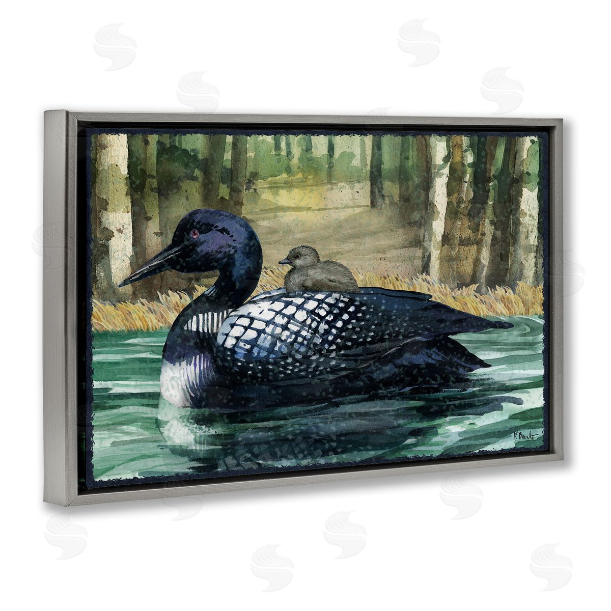 Loon with Baby on Lake Grey Floating Frame Canvas Wall Art, Home Decor by Paul Brent