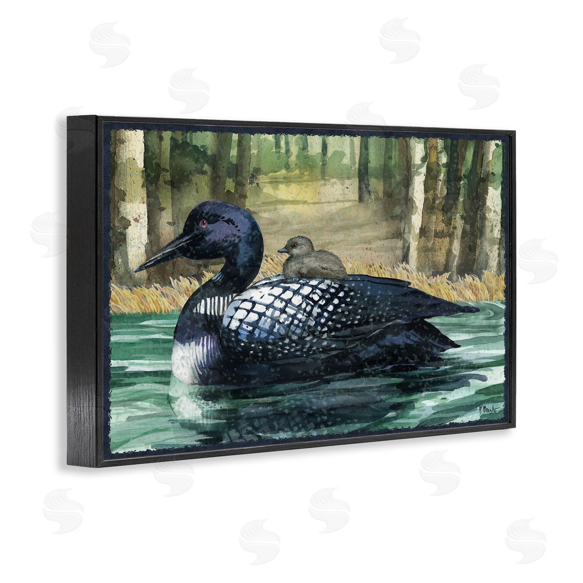 Loon with Baby on Lake Black Frame Print Wall Art, Home Decor by Paul Brent