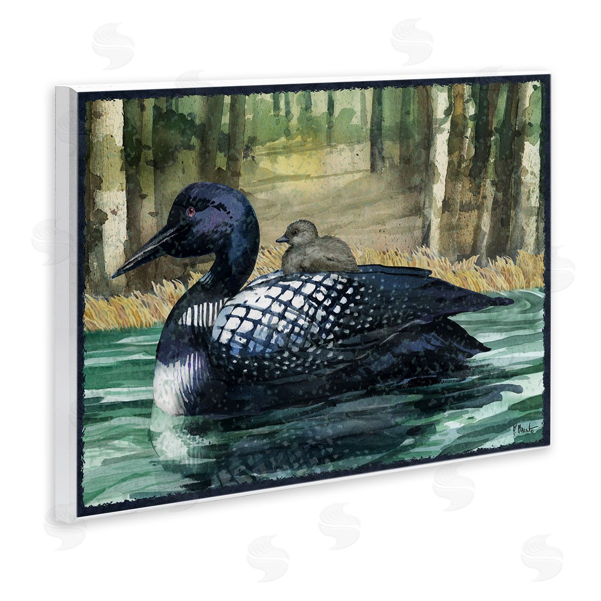 Loon with Baby on Lake Wood Plaque Wall Art, Home Decor by Paul Brent