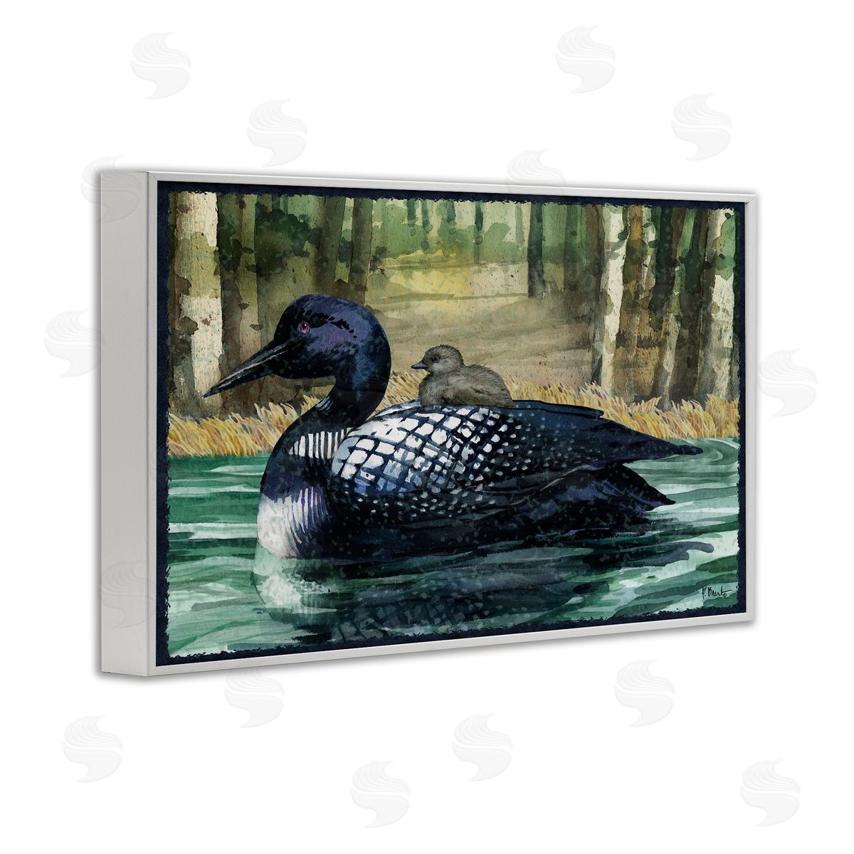 Loon with Baby on Lake White Frame Print Wall Art, Home Decor by Paul Brent