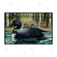 Paul Brent | Loon Family on Lake