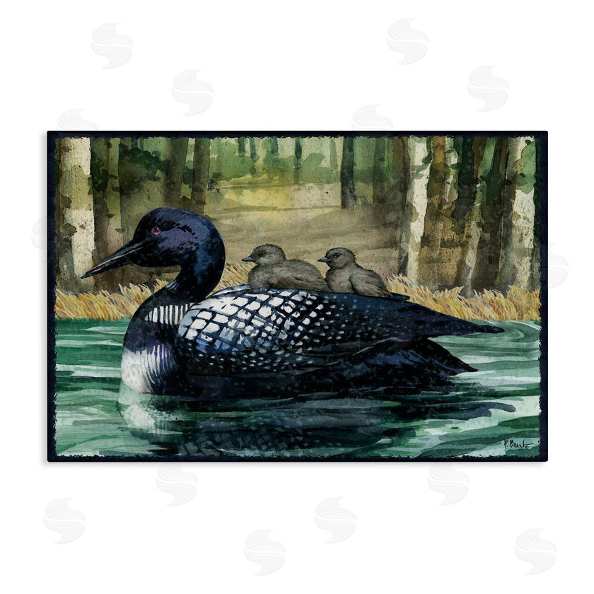 Paul Brent | Loon Family on Lake