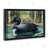 Paul Brent | Loon Family on Lake