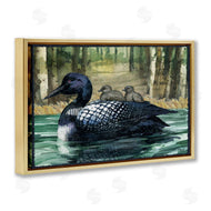 Paul Brent | Loon Family on Lake