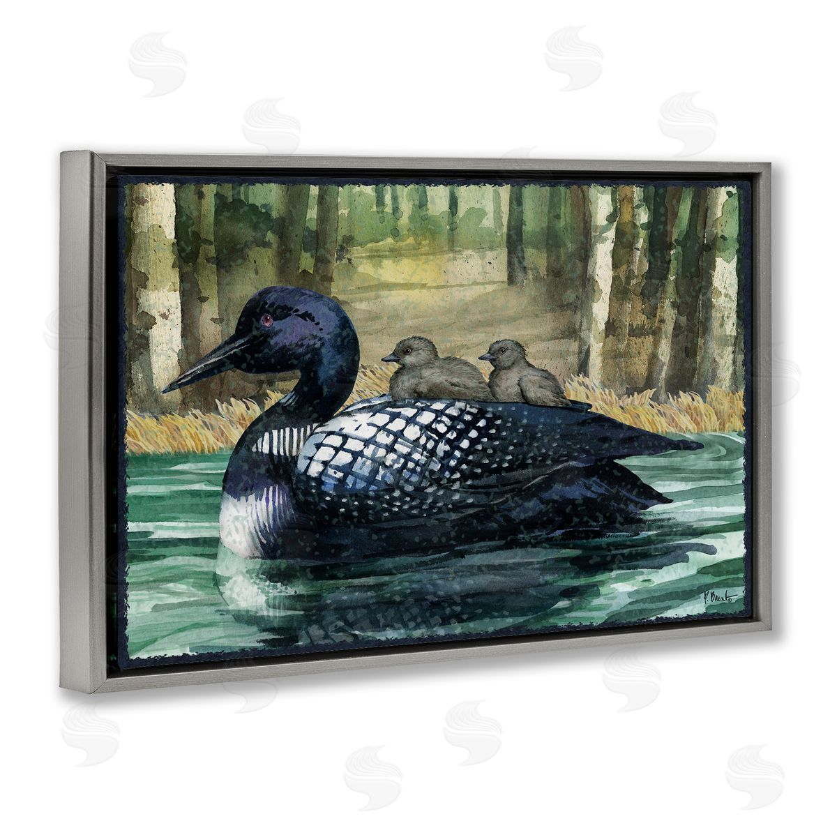 Loon Family on Lake Grey Floating Frame Canvas Wall Art, Home Decor by Paul Brent