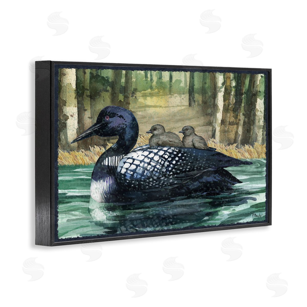Loon Family on Lake Black Frame Print Wall Art, Home Decor by Paul Brent