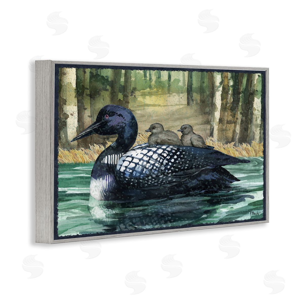 Loon Family on Lake Grey Frame Print Wall Art, Home Decor by Paul Brent