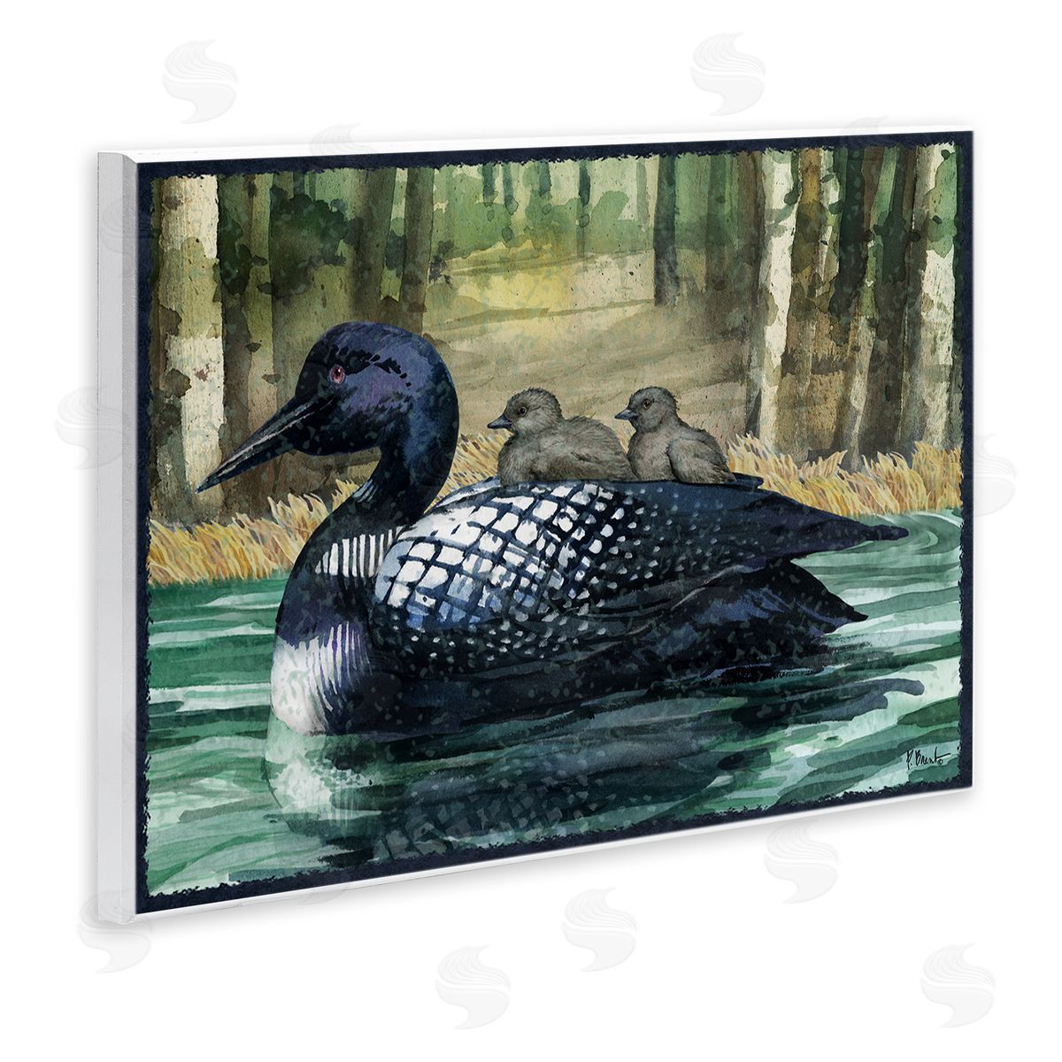 Loon Family on Lake Wood Plaque Wall Art, Home Decor by Paul Brent