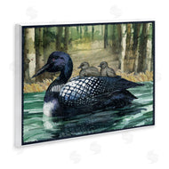 Paul Brent | Loon Family on Lake