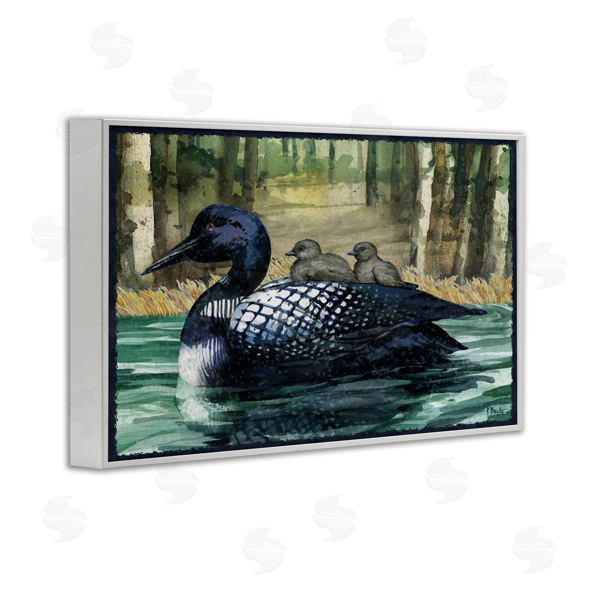Loon Family on Lake White Frame Print Wall Art, Home Decor by Paul Brent