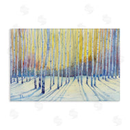 Paul Brent | Sunlit Winter Birch Trees