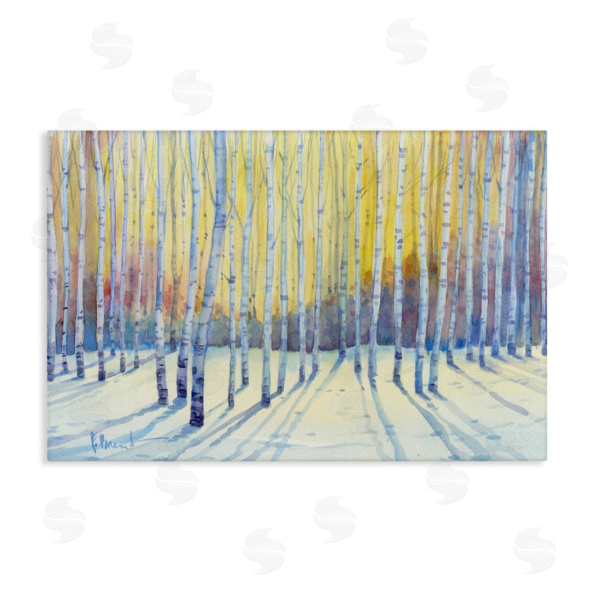 Paul Brent | Sunlit Winter Birch Trees