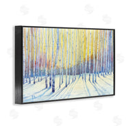 Paul Brent | Sunlit Winter Birch Trees