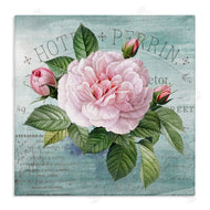 Susan Arnot | Bright & Rustic Tropical Bloom
