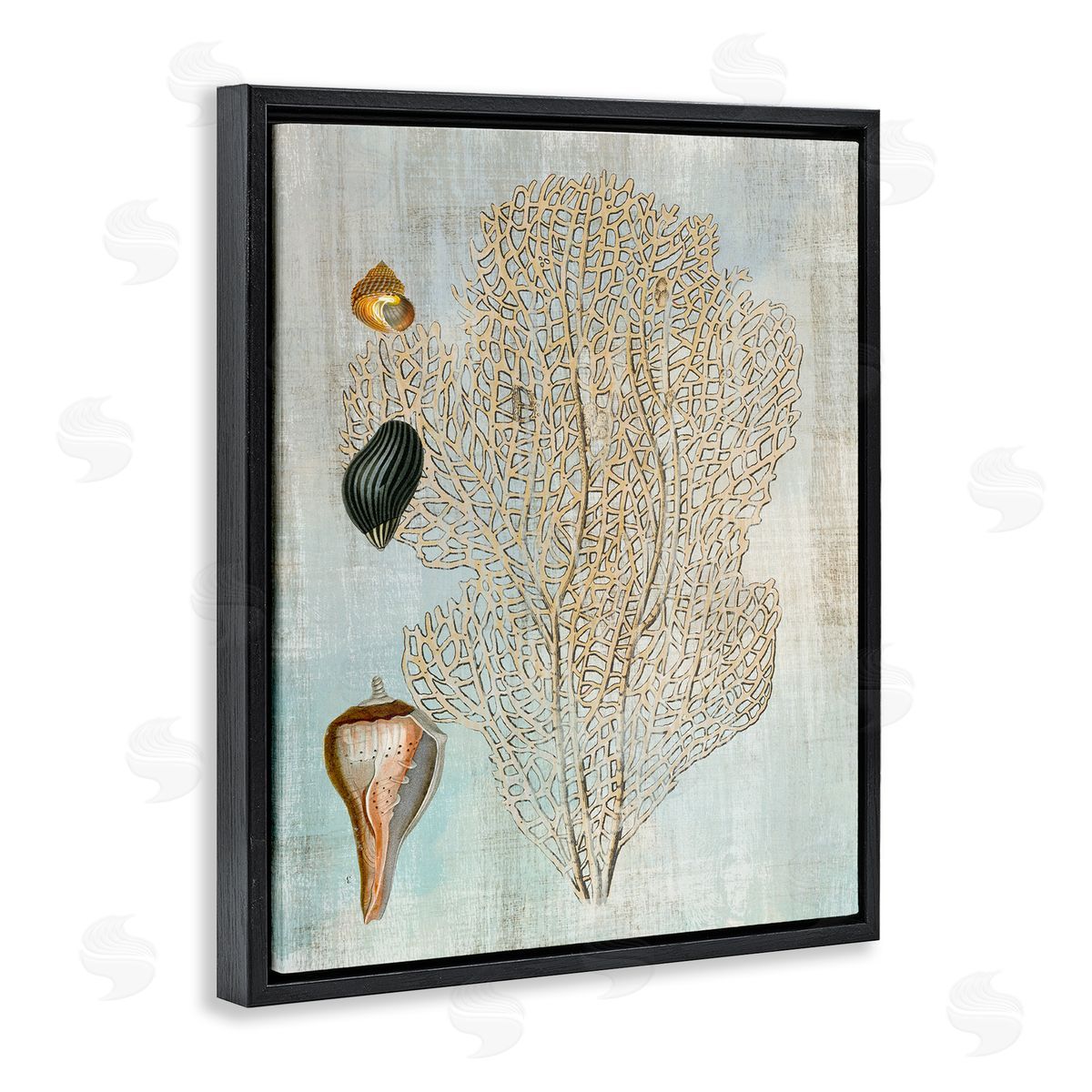 Detailed Coral & Seashells Black Floating Frame Canvas Wall Art, Home Decor by Susan Arnot