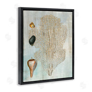 Susan Arnot | Detailed Coral & Seashells
