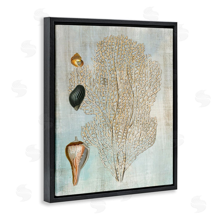 Susan Arnot | Detailed Coral & Seashells